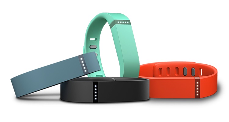 Fitbit Flex Review