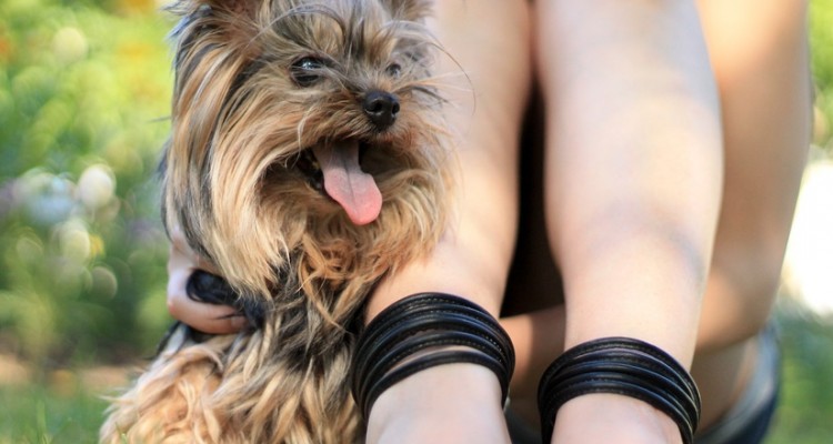 doggydating