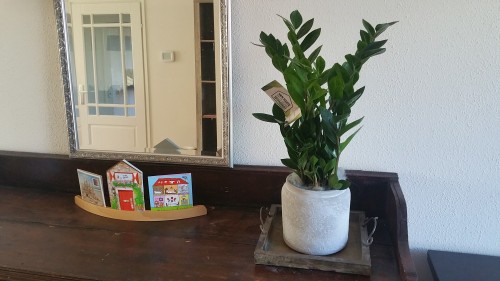 20160227_104301
