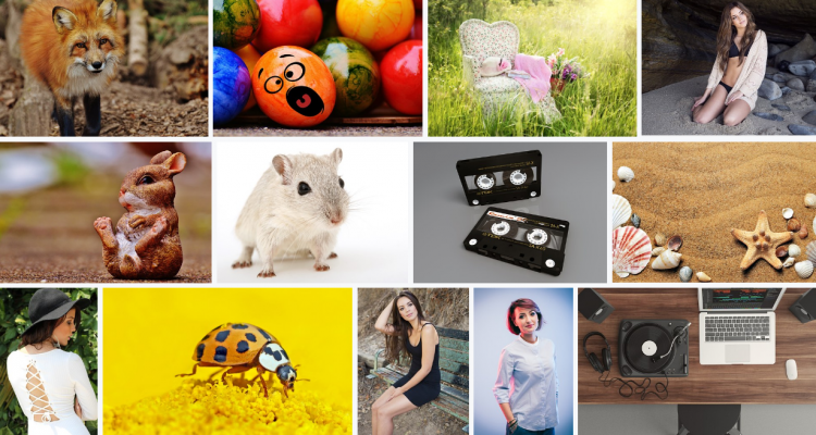 auteursrechtvrije stock photos