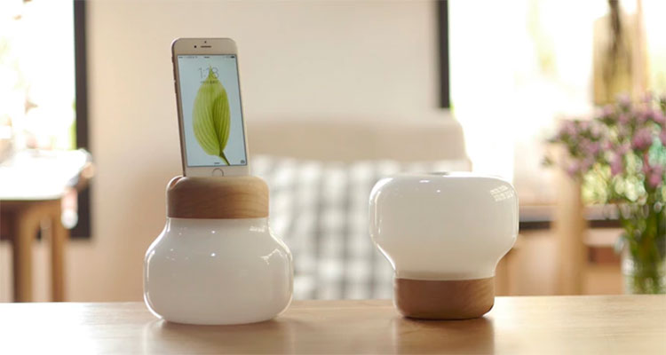 Mushroom lamp