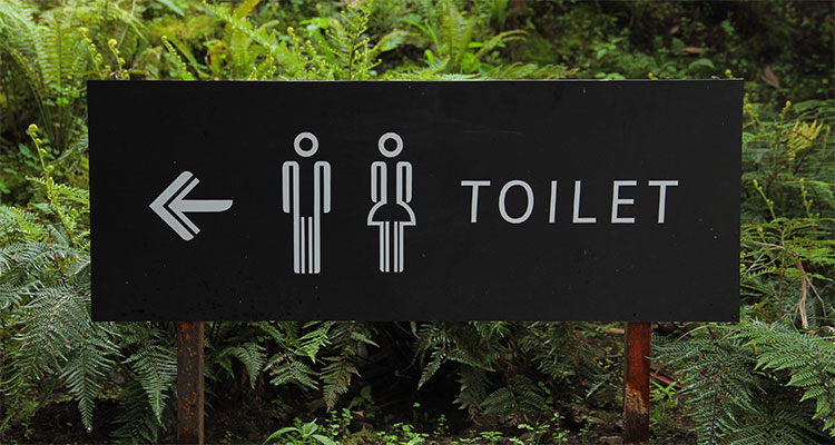 nederlandse wc