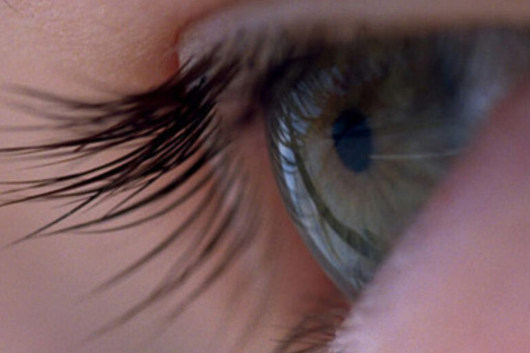 Voyage of time
