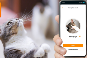 MeowTalk