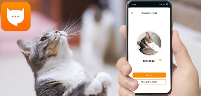 MeowTalk