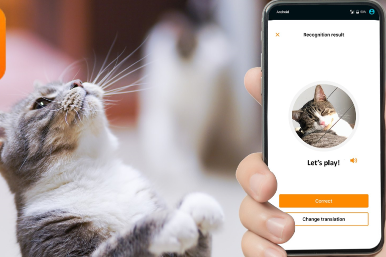 MeowTalk