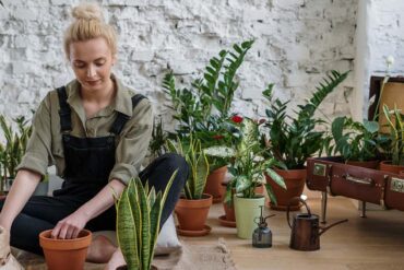 Planten