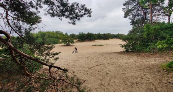 Greyp Drunense Duinen